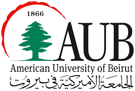 American University Logo